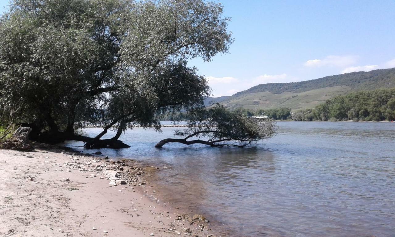 Fewo Batek Trechtingshausen Екстериор снимка
